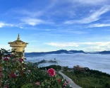 top-20-cac-diem-du-lich-da-lat.webp